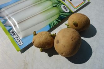 %e5%a4%a7%e6%a0%b9%e3%81%a8%e3%81%98%e3%82%83%e3%81%8c