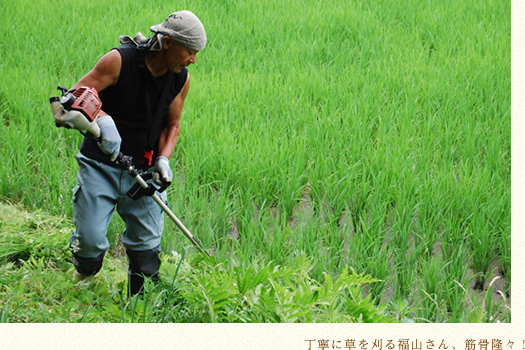 丁寧に草を刈る福山さん、筋骨隆々！