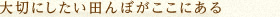 大切にしたい田んぼがここにある