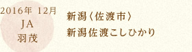 2016年 12月 JA羽茂 新潟〈佐渡市〉新潟佐渡こしひかり
